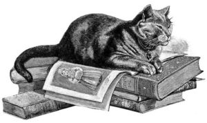 clipart of cat on books